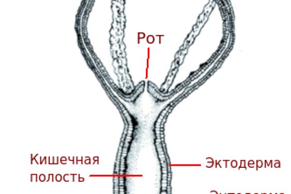 Kra9.gl